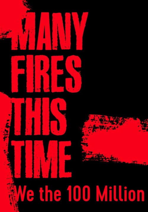 Many Fires This Time: We the 100 Million afişi
