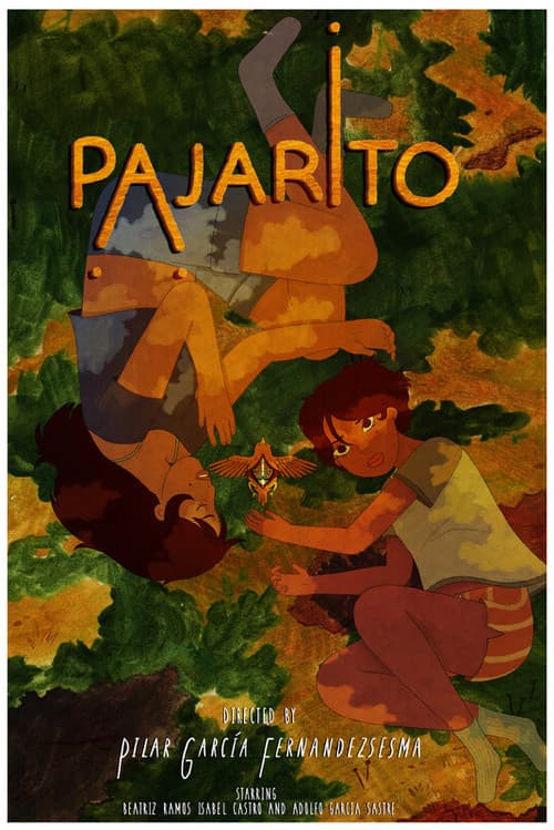 Pajarito afişi
