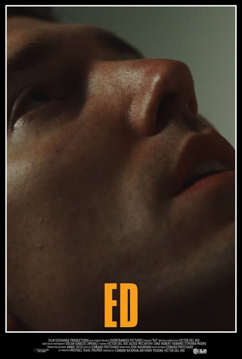 Ed afişi