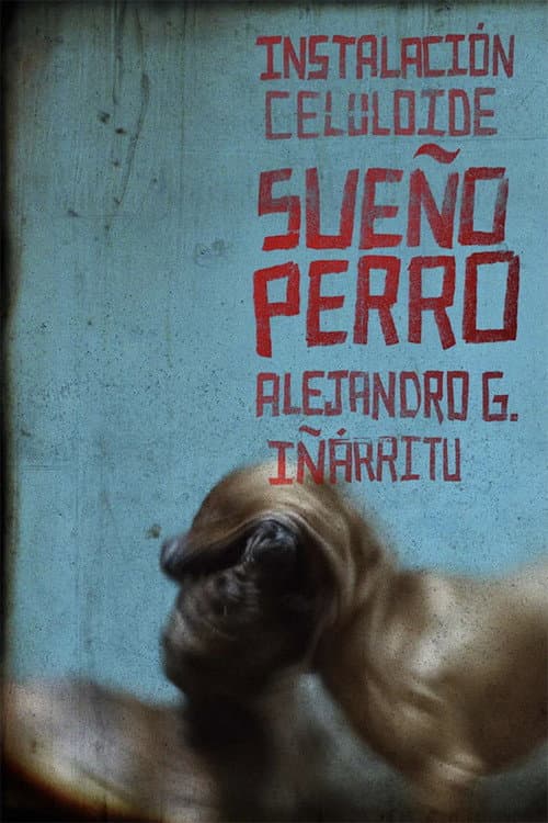 Sueño Perro afişi
