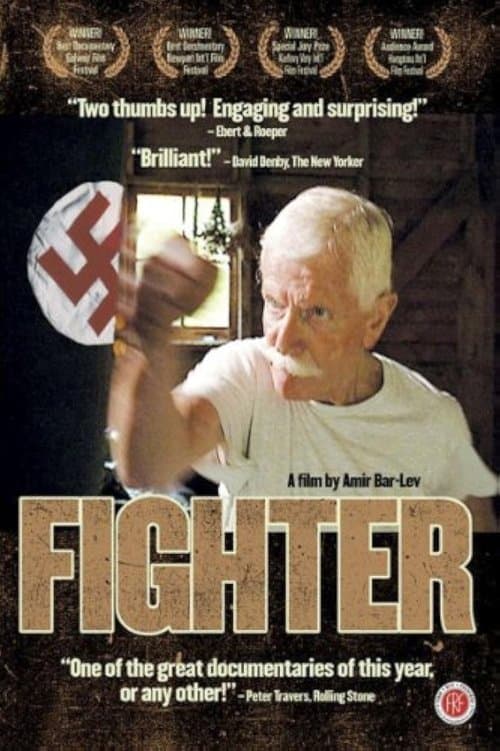 Fighter afişi
