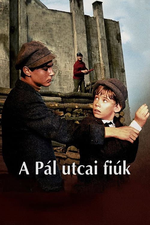 Pal Sokağı Çocukları afişi