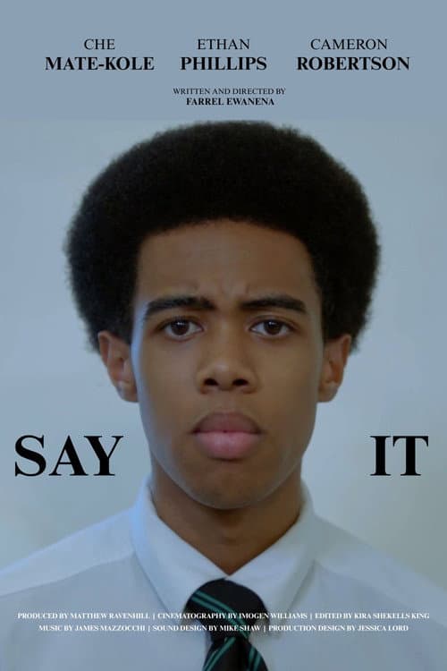 Say It afişi