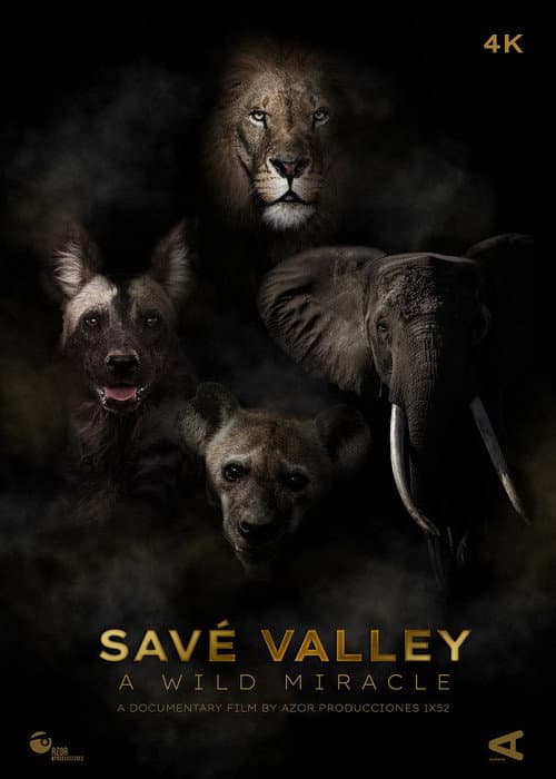 Savé Valley. A Wild Miracle afişi