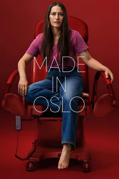 Made in Oslo afişi
