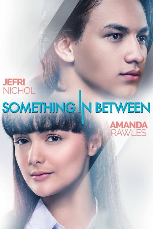 Something In Between afişi
