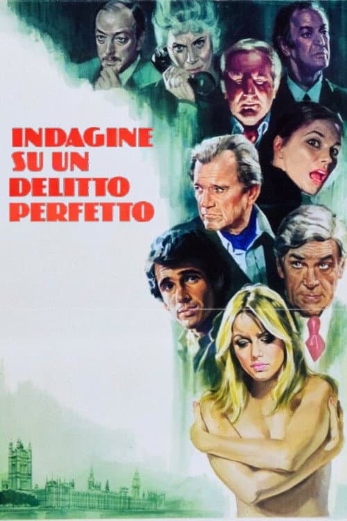 Indagine su un delitto perfetto afişi