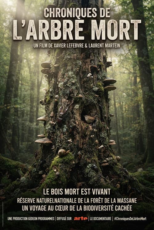 Chroniques de l'arbre mort afişi