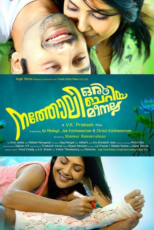 Natholi Oru Cheriya Meenalla afişi