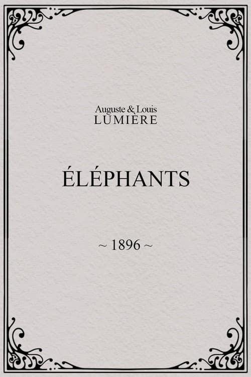 Éléphants afişi