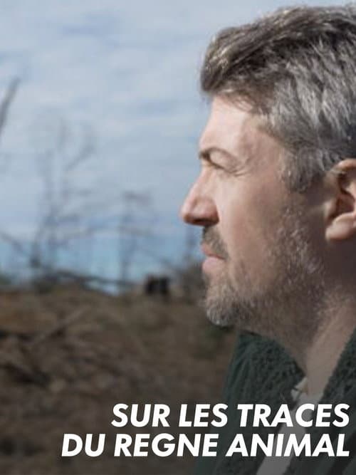 Sur les traces du règne animal afişi