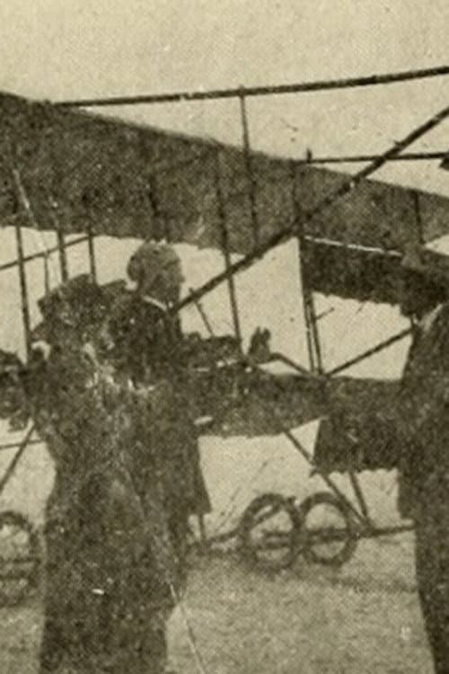 Flying to Fortune afişi