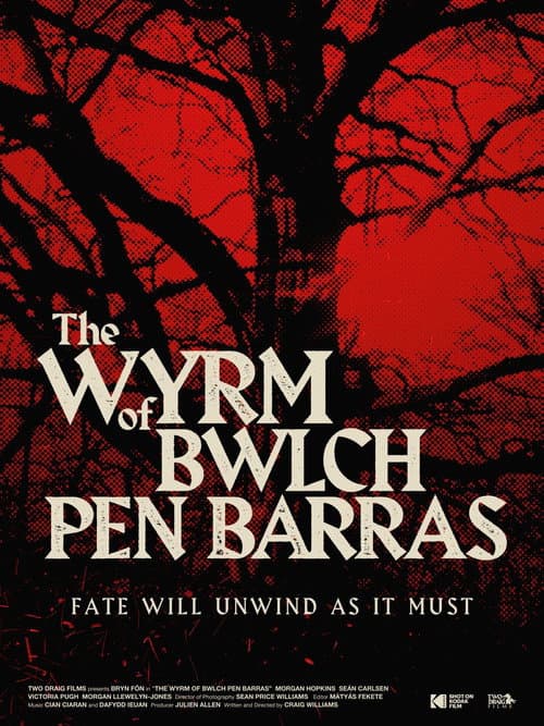 The Wyrm of Bwlch Pen Barras afişi