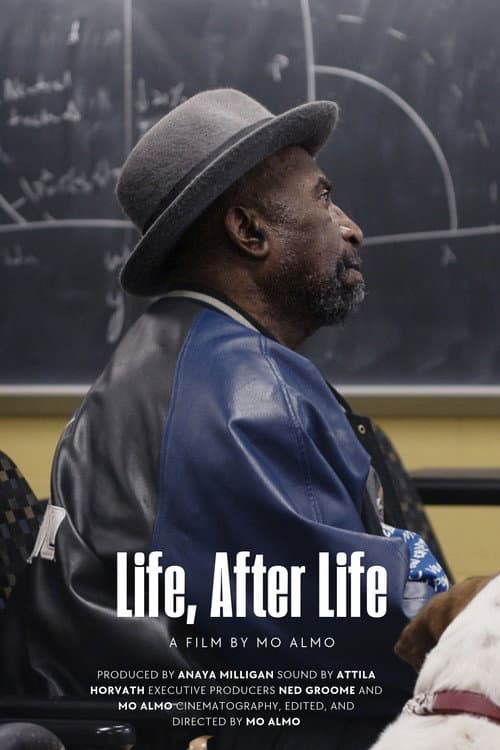 Life, After Life afişi