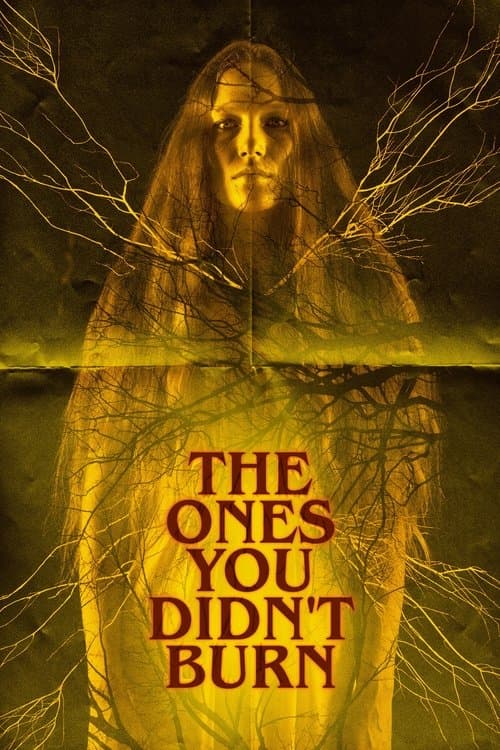 The Ones You Didn’t Burn afişi