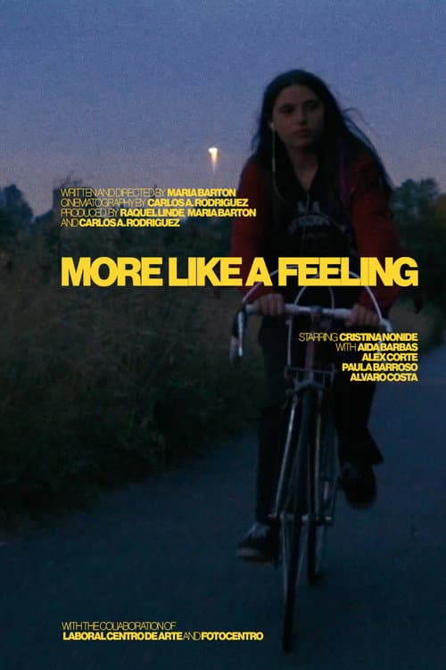 More Like a Feeling afişi