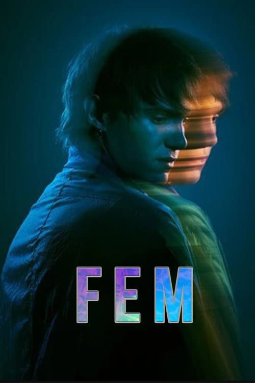 FEM afişi