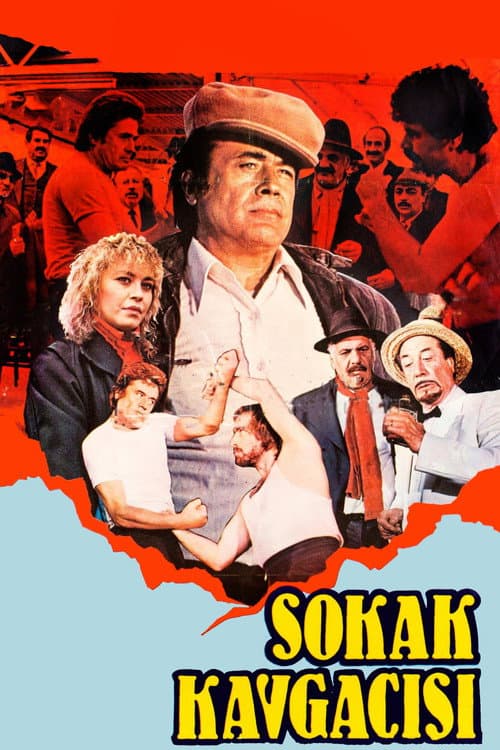 Sokak Kavgacısı afişi
