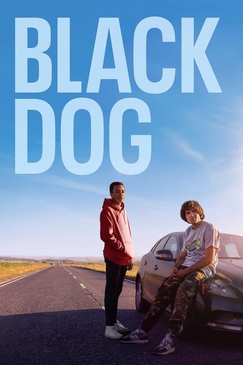 Black Dog afişi