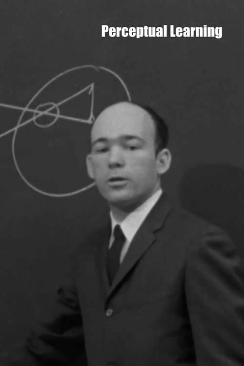 Perceptual Learning afişi