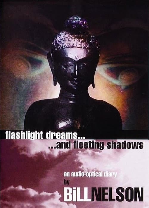 Flashlight Dreams and Fleeting Shadows: an Audio-Optical Diary by Bill Nelson afişi