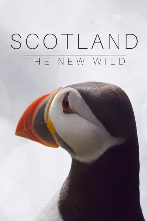 Scotland: The New Wild afişi