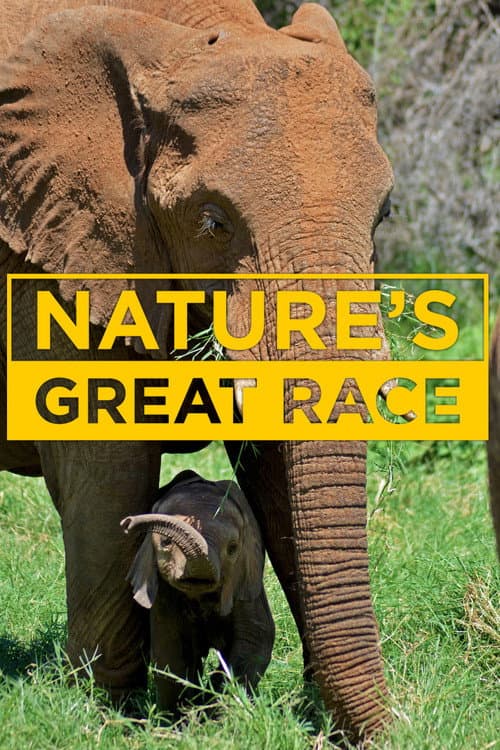 Nature's Epic Journeys afişi