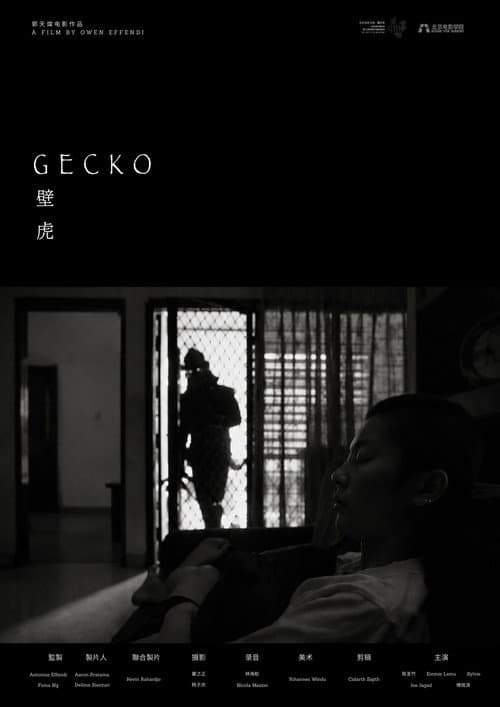 Gecko afişi