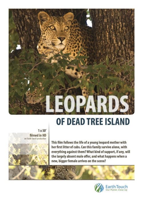 Leopards of Dead Tree Island afişi