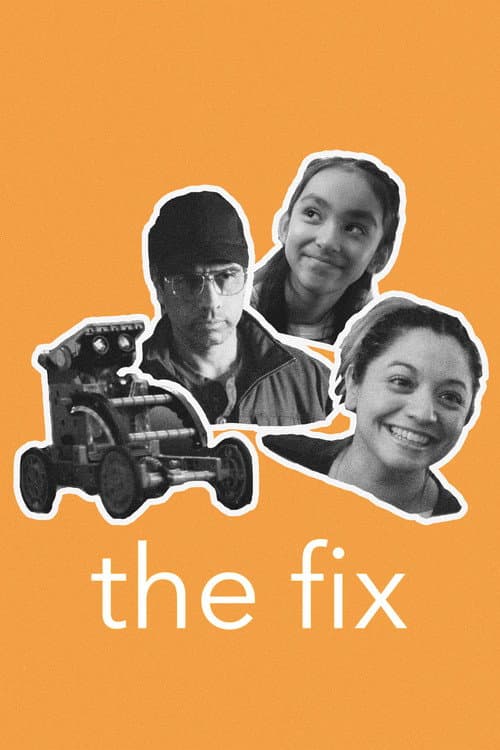 the fix afişi