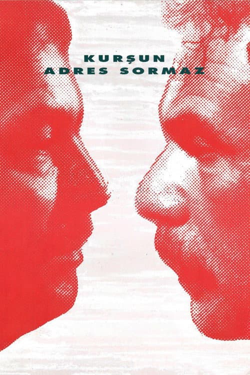 Kurşun Adres Sormaz afişi