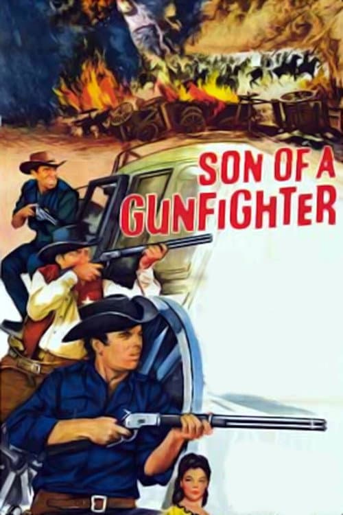 Son of a Gunfighter afişi