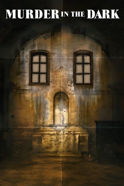 Murder in the Dark afişi