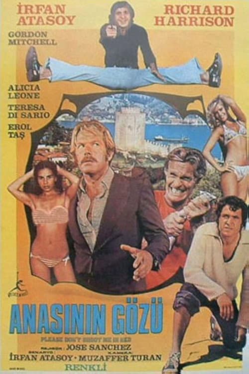 Anasının Gözü afişi