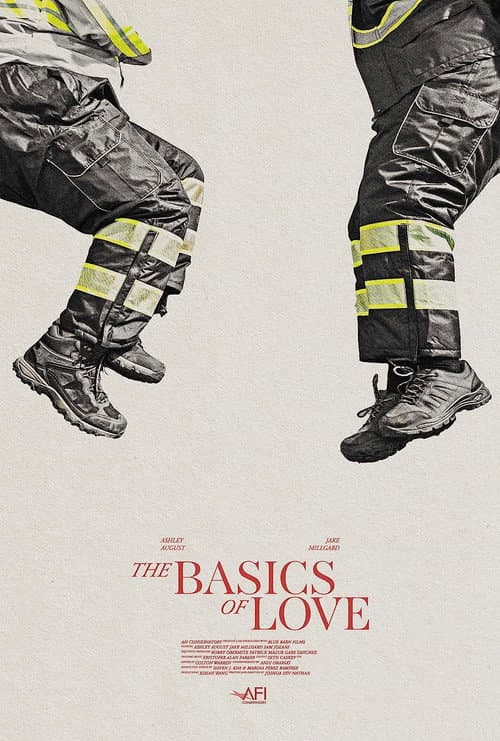The Basics of Love afişi