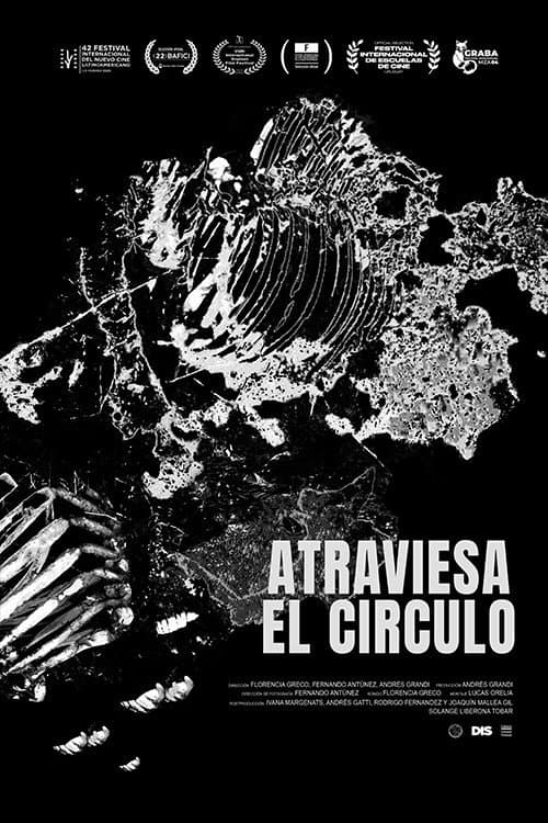 Atraviesa el Círculo afişi