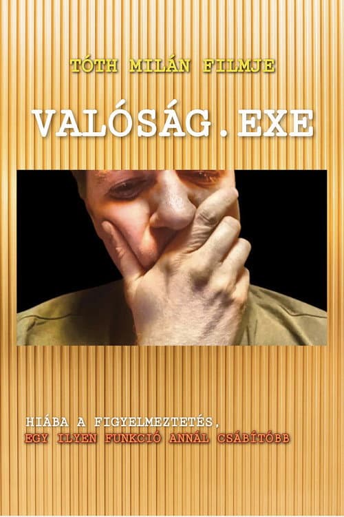 Valóság.exe afişi