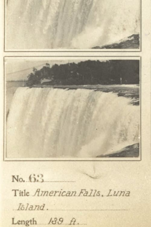 American Falls from Luna Island afişi