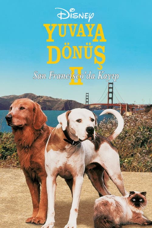 Yuvaya Dönüş II: San Francisco'da Kayıp afişi