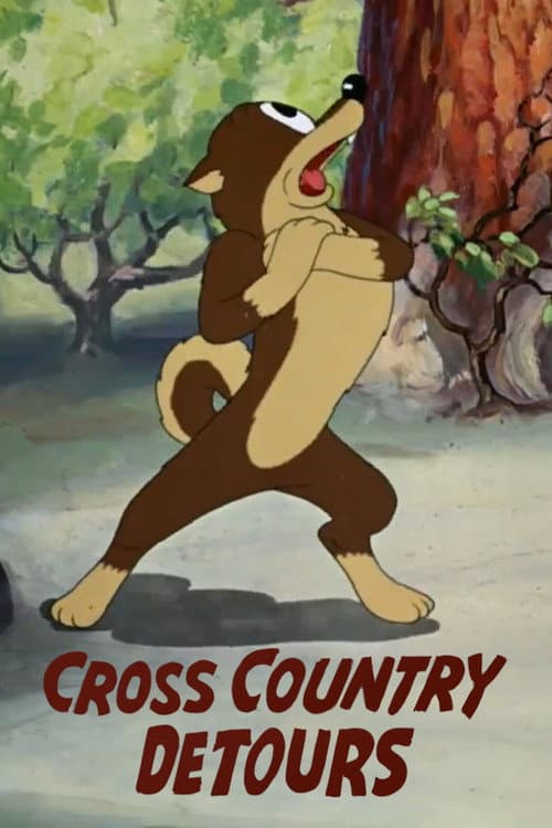 Cross Country Detours afişi