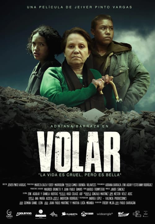 VOLAR afişi