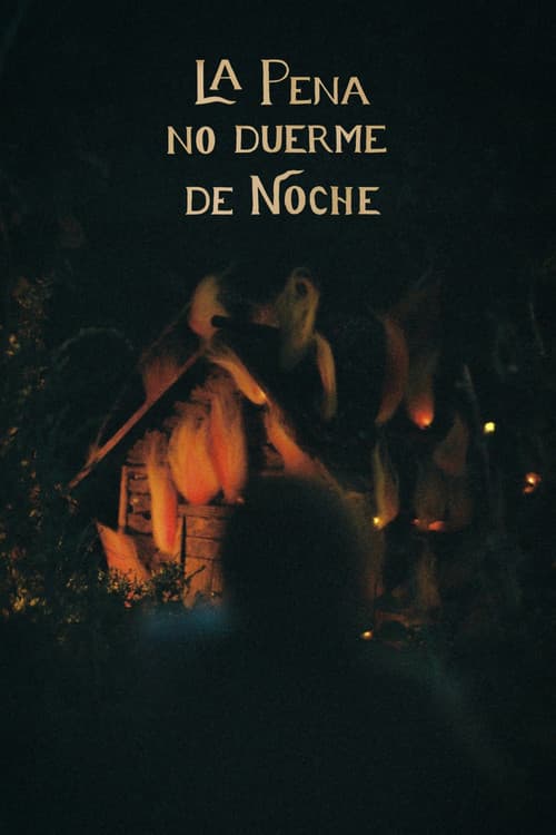 La pena no duerme de noche afişi