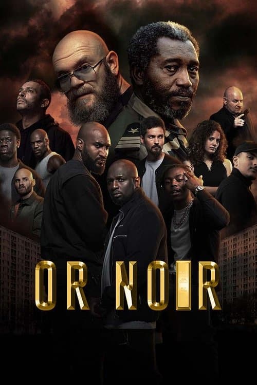 Or Noir afişi