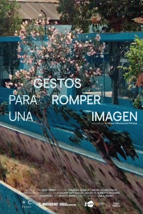 Gestos para romper una imagen afişi