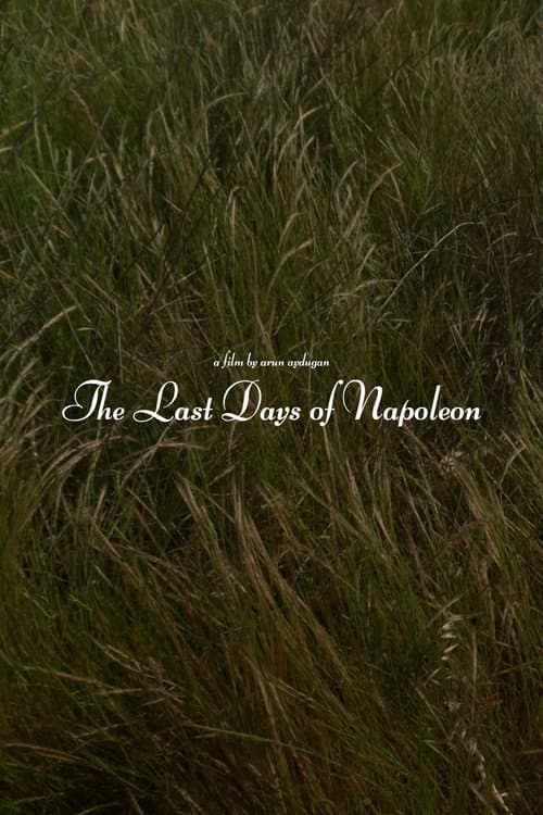 The Last Days of Napoléon afişi
