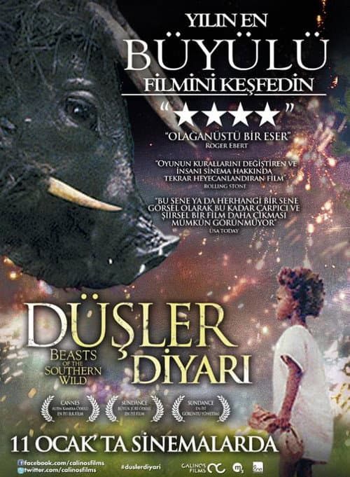 Düşler Diyarı afişi