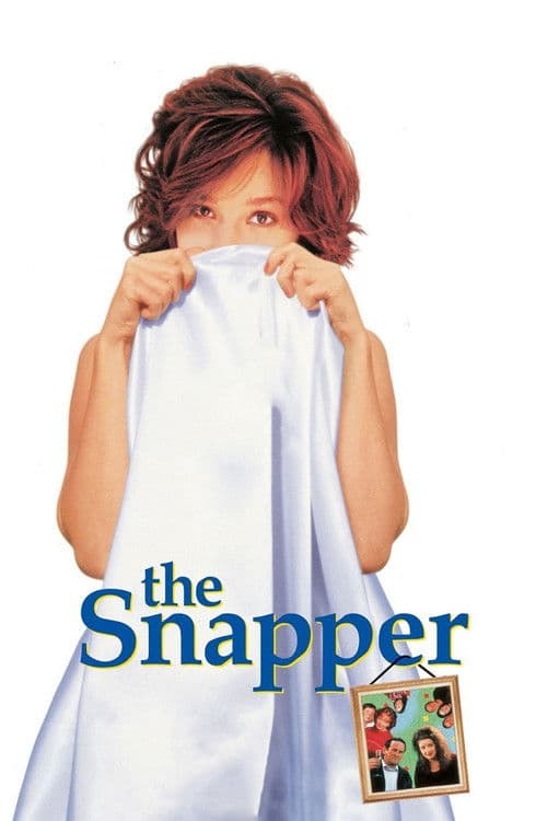 The Snapper afişi