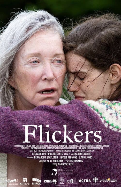 Flickers afişi