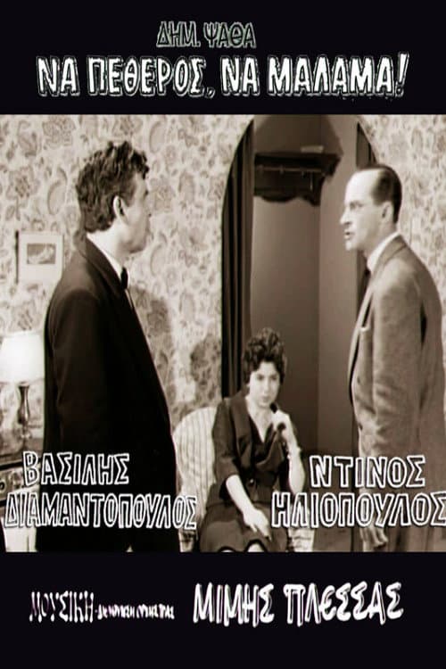 Father-in-Law With a Heart of Gold afişi