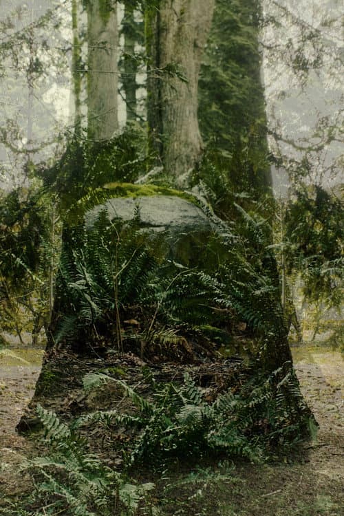 Vertical Remains